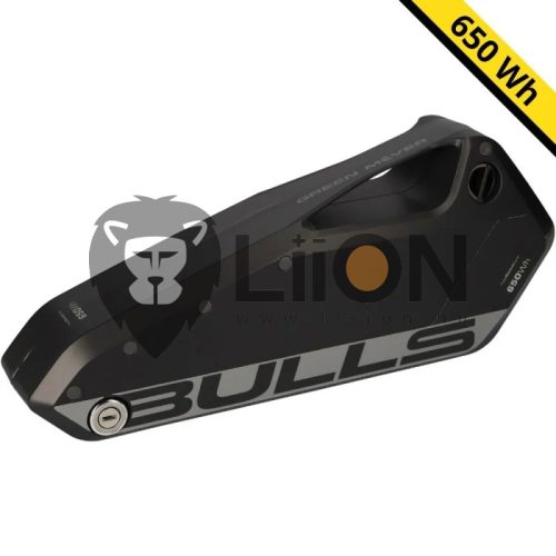 Bulls Green Mover Lavida ebike akku felújítás
